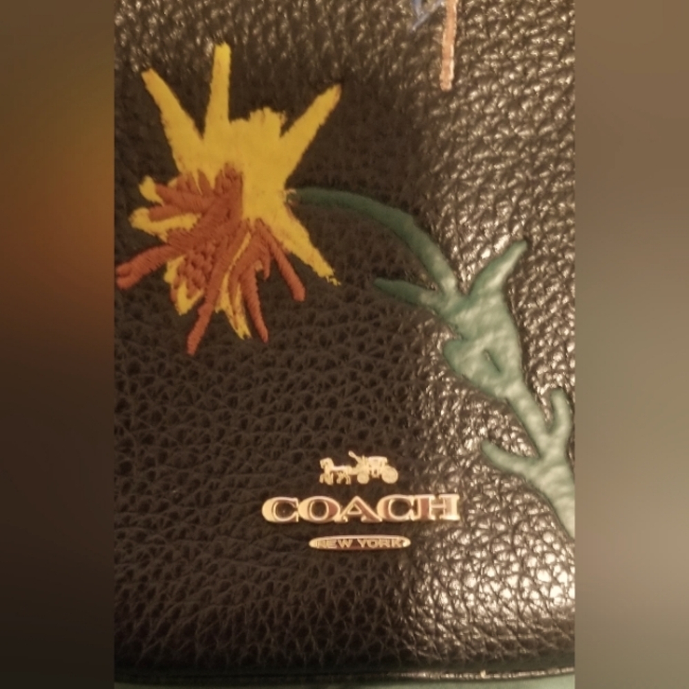 Coach Crossbody Bag